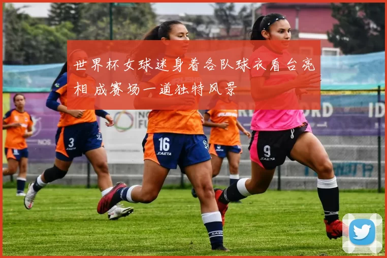 世界杯女球迷身着各队球衣看台亮相 成赛场一道独特风景