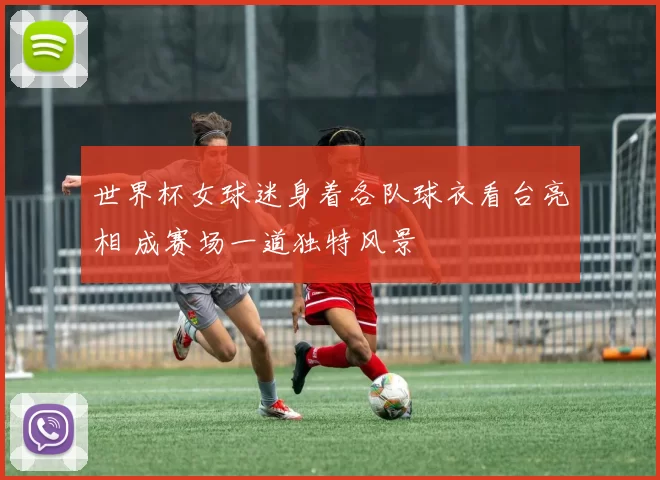 世界杯女球迷身着各队球衣看台亮相 成赛场一道独特风景